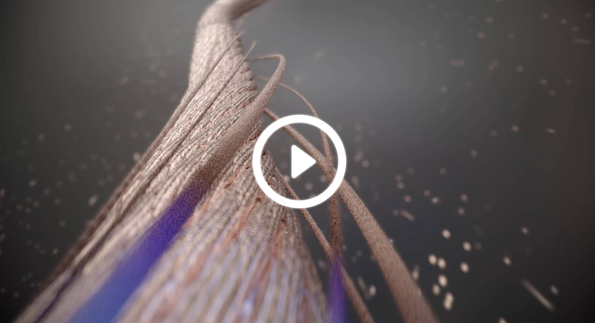 GRAHAM - Nineteen Groupe