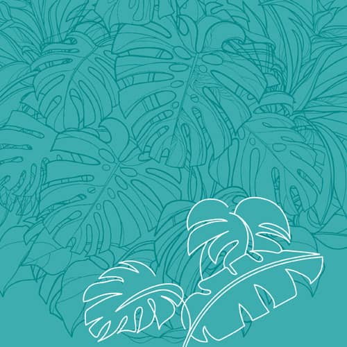 ROBINSON - Cas Nineteengroupe