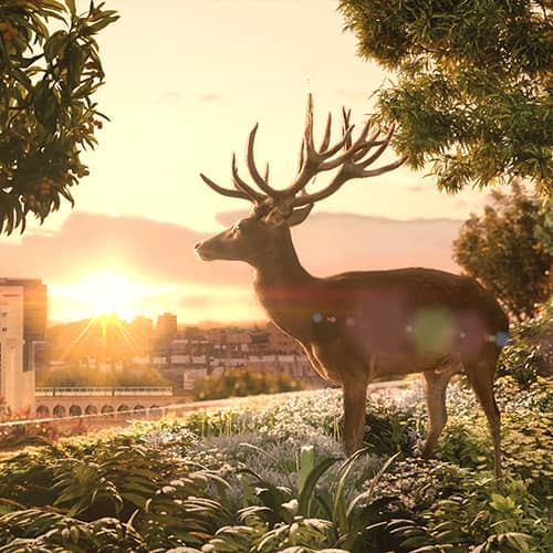 THE GOOD ONE - Cas Nineteengroupe