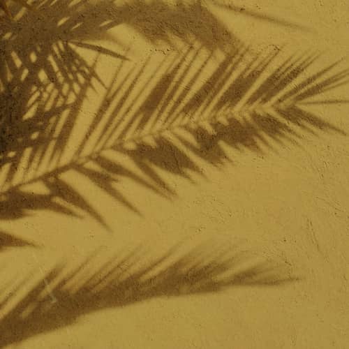 TRES HONORE - Cas Nineteengroupe